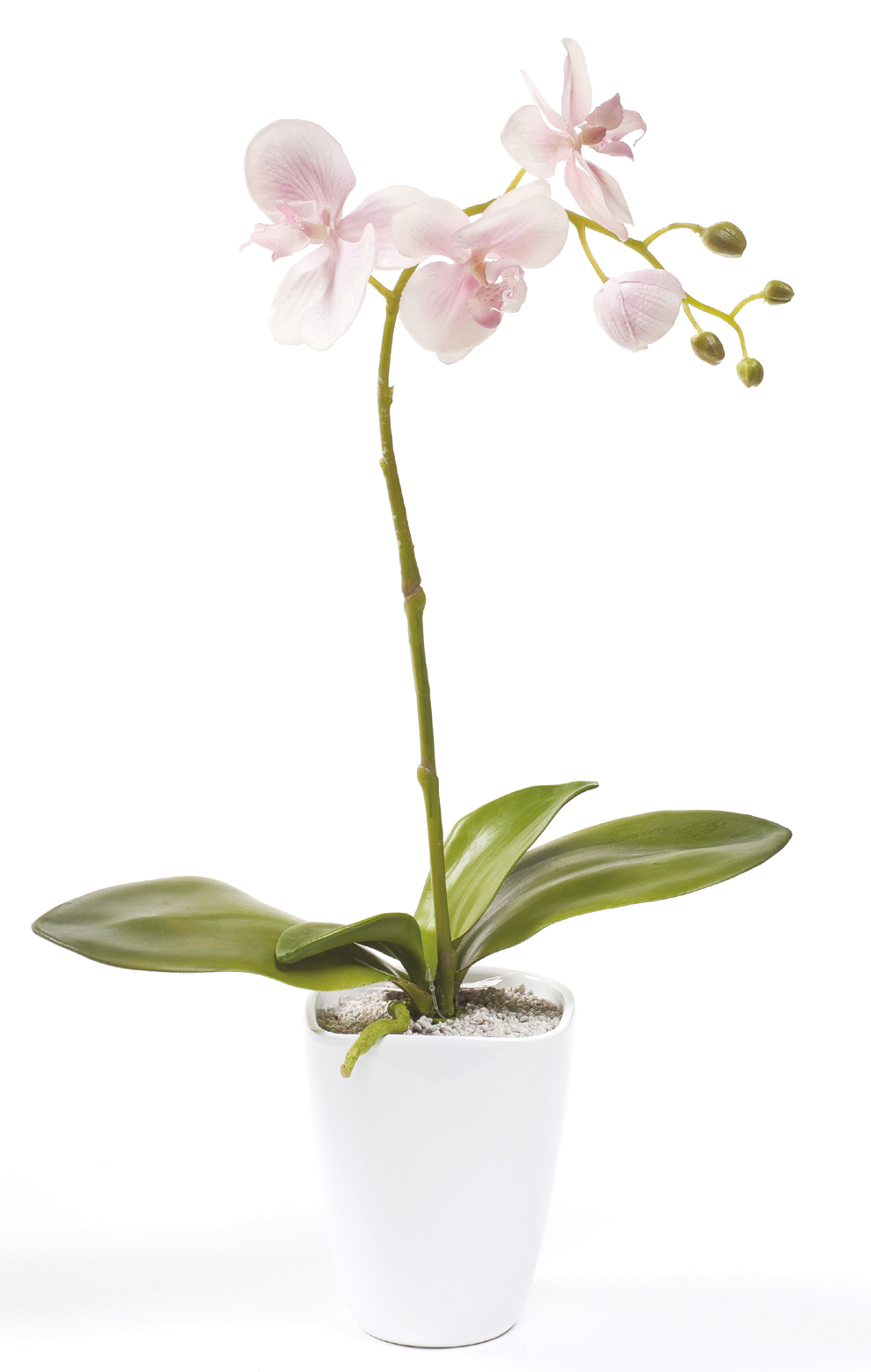 Artificial Flowers Plants 45cm Artificial Phalaenopsis Orchid Plant Pink Michael Dark Florist Supplies Huge Range Wholesale Prices