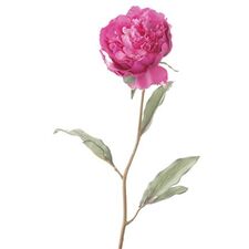 Artificial Peonies | Silk Peony Stems for Florists