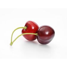 Artificial Decorative Fruit