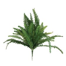 Artificial Foliage