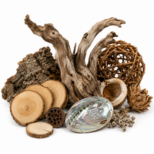 Decorative natural materials including driftwood, wood slices, pods and rustic floristry décor
