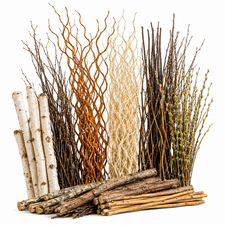 Decorative sticks and natural branches for floristry and event styling