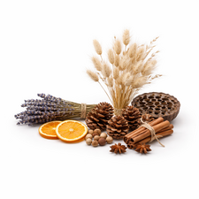 Dried Floristry Materials Pine Cones Moss and Natural Decorations