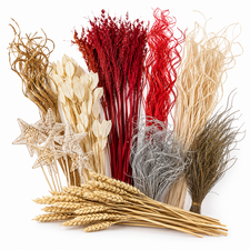 Decorative sticks and natural branches for floristry and event styling