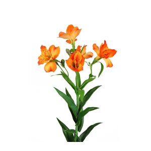 An Artificial alstroemeria with 4 open orange flowers and 4 buds per stem on a white background.