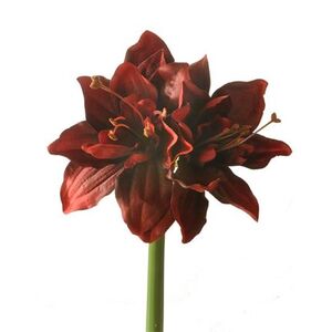 A realistic red fabric amaryllis artificial flower with stem.