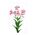 An artificial alstroemeria 4 flowers of Fuchsia colour and 4 buds to each stem with a white background.