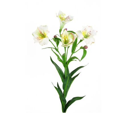 An artificial alstroemeria spray with 4 cream flowers and 4 buds with a white background to each stem.