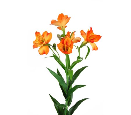 An Artificial alstroemeria with 4 open orange flowers and 4 buds per stem.