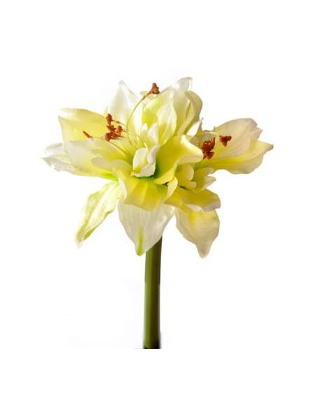 A beautiful realistic fabric amaryllis mixed white and yellow flower with a stem.