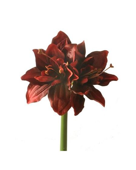 A realistic red fabric amaryllis artificial flower with stem.