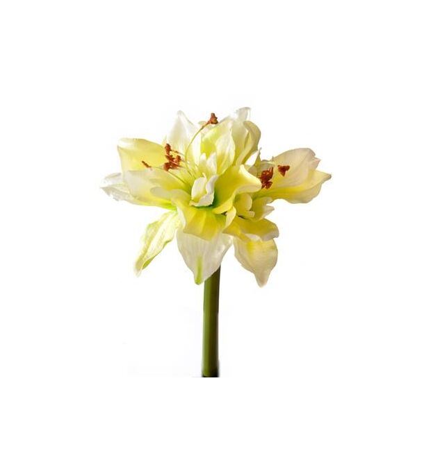 A beautiful realistic fabric amaryllis mixed white and yellow flower with a stem.