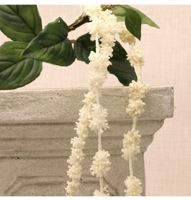 A beautiful hanging Amaranthus white flower and green leaves on stem.