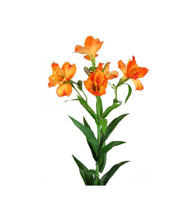 An Artificial alstroemeria with 4 open orange flowers and 4 buds per stem.