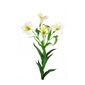 An artificial alstroemeria spray with 4 cream flowers and 4 buds with a white background to each stem.