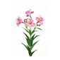 An artificial alstroemeria 4 flowers of Fuchsia colour and 4 buds to each stem with a white background.